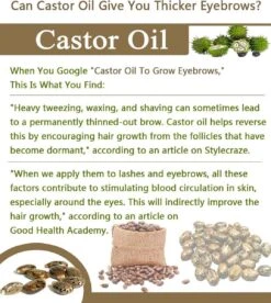 Your Beauty Tree ® Wimper Serum Met Echte Castor Olie |100% Natuurlijke Wimpergroei| Castor Oil Eyelash Serum|Wonder Olie | Wimper Groei | Wenkbrauw Serum | Lash Serum | Wimper Groeimiddel -Make-up Mode Goedkope Winkel 1075x1200 2