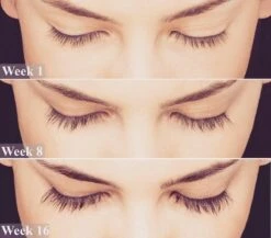 Lanthome Wimperserum - Met Castor Olie -Make-up Mode Goedkope Winkel 1200x1056 1