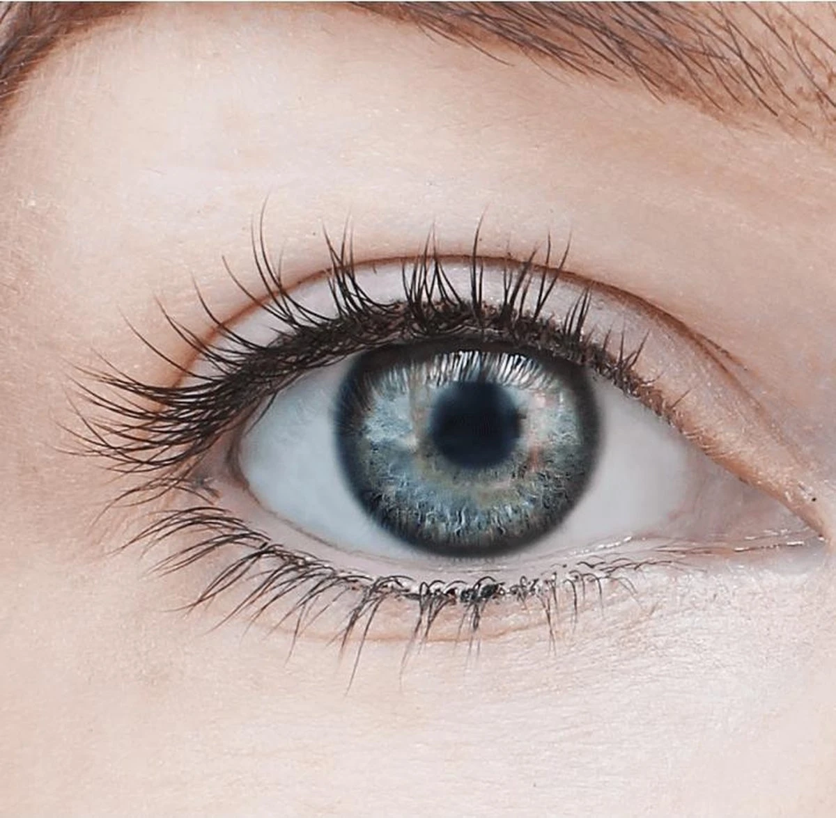 Max Factor Lash Revival Mascara - 001 Black - Afbeelding 12